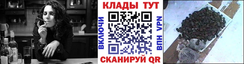 Меф Архангельск